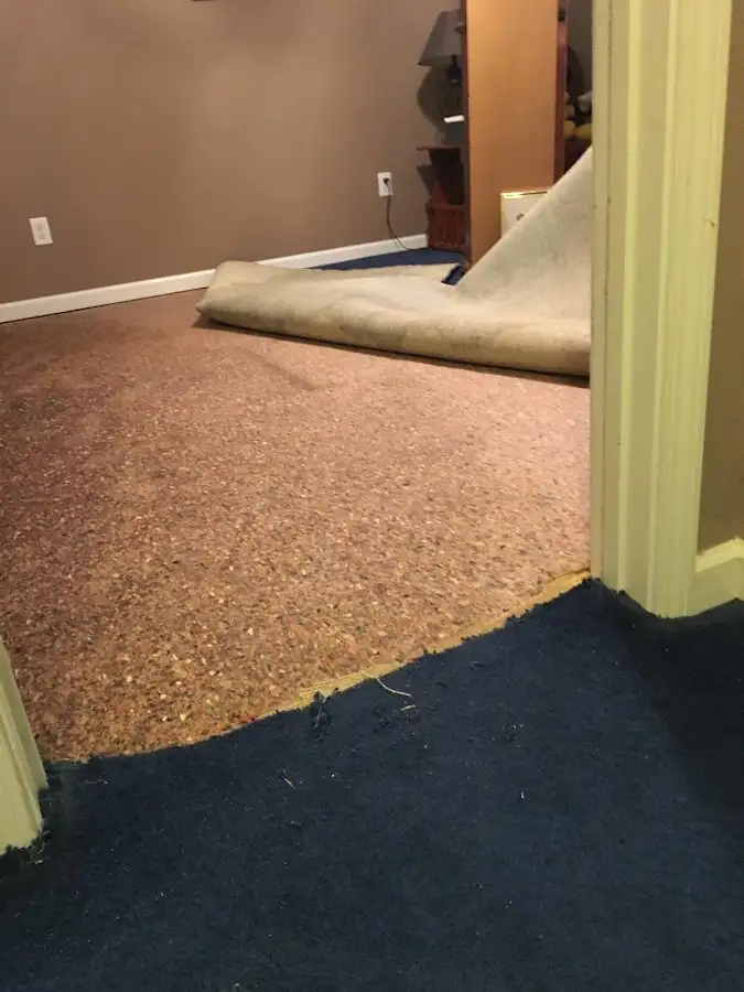Carpet pad removal revealing water damage during Water Mitigation Services in LaGrange